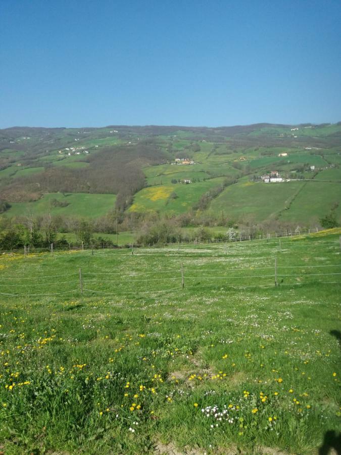 Fattoria Ca' Di Fatino Bed & Breakfast Castiglione dei Pepoli Bagian luar foto